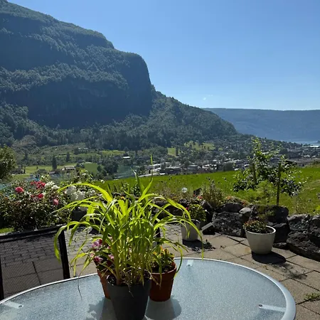 View * Stryn